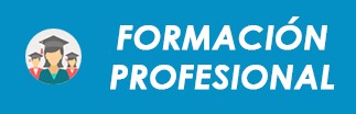 formacion profesional