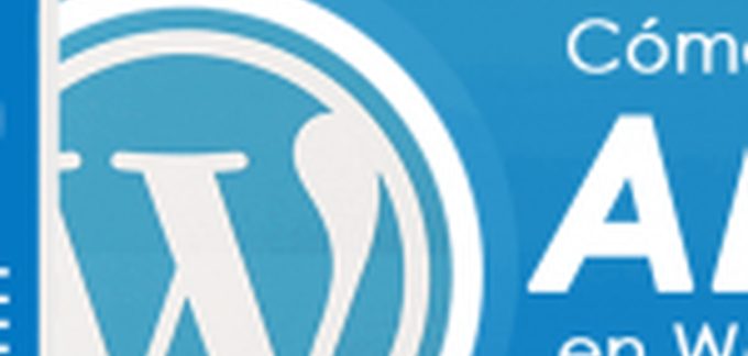 amp en wordpress