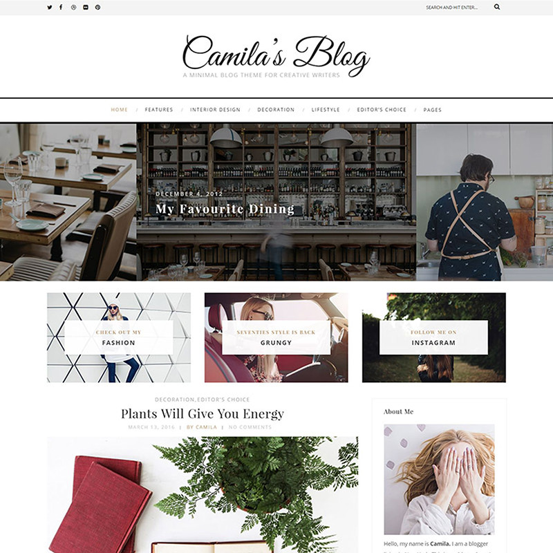 Camila - Plantilla WordPress Minimalista para Blog