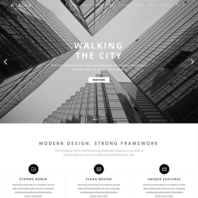 Webion - Tema de WordPress para Sitio de Consultoría