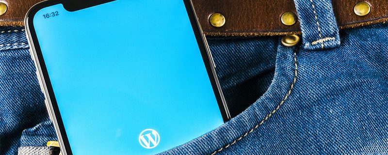 diseñador web freelance